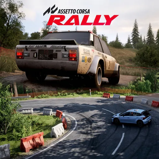 Assetto Corsa Rally, СНГ