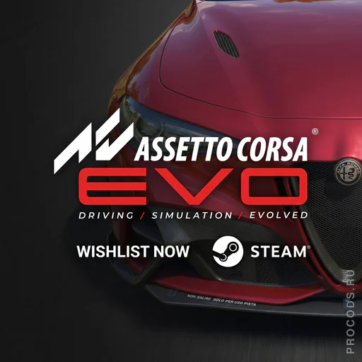 Assetto Corsa EVO, СНГ